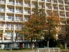 20181017_104344