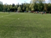 IMG_20190518_101937